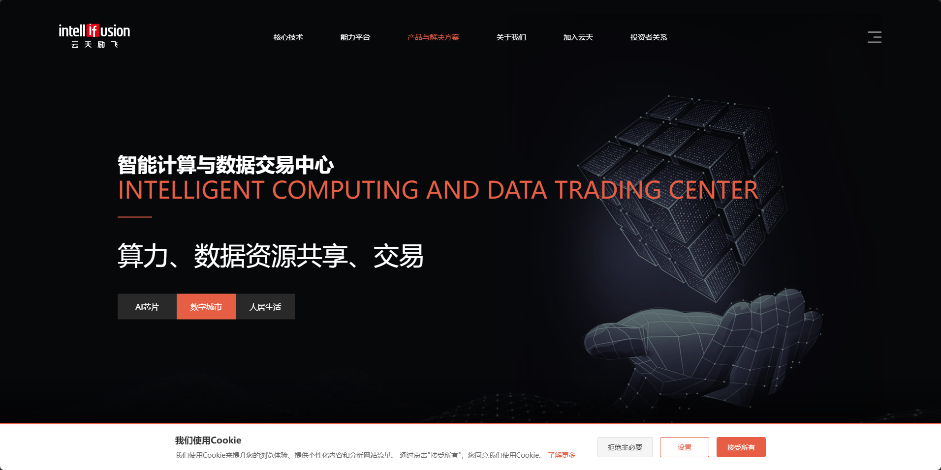 云天励飞网站开发与国内推广